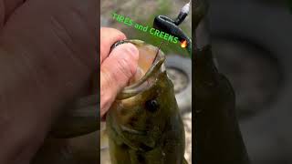 Tires and Creeks urban outdoors tires creek bass nikko blackvoltage [upl. by Childs]