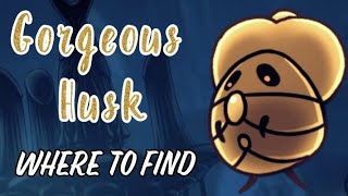 Gorgeous Husk Where to Find  Hollow Knight [upl. by Aela]