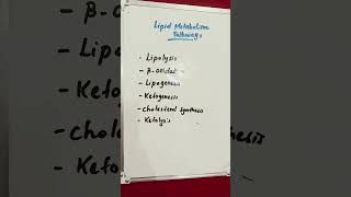 Lipid Metabolism Pathways lipids lipid metabolism metabolic [upl. by Lenora]