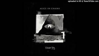 Alice In Chains  Rainier Fog [upl. by Anyek312]