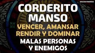 Corderito Manso oración para vencer amansar rendir y dominar malas personas y enemigos [upl. by Adaiha]