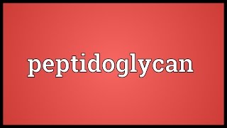 Peptidoglycan Meaning [upl. by Maxia]