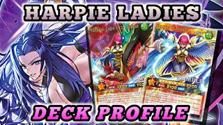 Harpie Ladies DECK PROFILE  YUGIOH RUSH DUEL [upl. by Circosta]