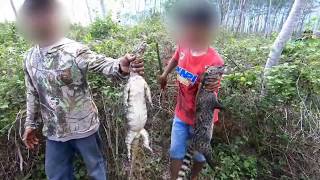 Berburu DedesRase  SATU TEMPAT DUA NYAWA WEASEL HUNTING Berburu Hunting musang garangan [upl. by Ajoop]