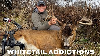 Four Year Quest For An Ohio Buck [upl. by Ducan818]