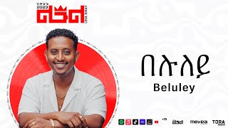 Leul Sisay  በሉለይ  Beluley Track 10 ትግርኛ Tigrigna Music Official Audio [upl. by Nimzzaj]