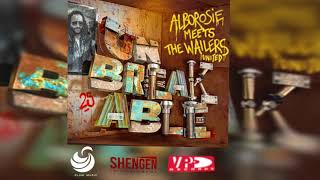 Alborosie ft Chronixx  Contradiction  Alborosie Meets The Wailers United UNBREAKABLE [upl. by Mcintosh]