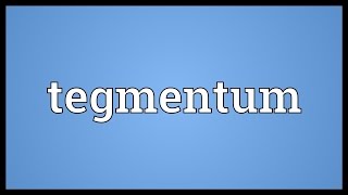 Tegmentum Meaning [upl. by Ynaffad]