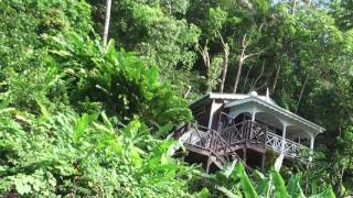 The Best EcoResort in Saint Lucia Fond Doux Plantation [upl. by Rasmussen486]