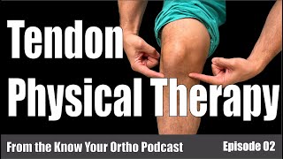 PHYSICAL THERAPY treatment for tendinopathy [upl. by Einatsed310]