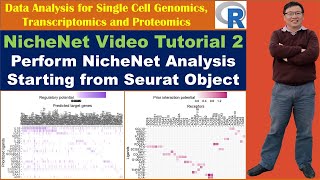 NicheNet Video Tutorial 2 Perform NicheNet Analysis Starting from A Seurat Object [upl. by Avron]