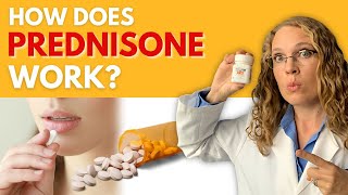 How Does Prednisone Work  Prednisone Pharmacology  Corticosteroids amp Glucocorticoids [upl. by Wenda253]