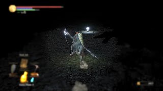 DS3  My First Real Jumpscare in a long time [upl. by Ahtiekal972]