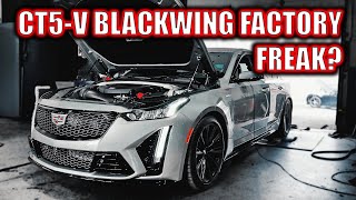 Cadillac CT5V Blackwing Shocks Everyone [upl. by Lyrad]