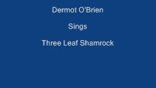 Three Leaf Shamrock  Dermot OBrien  Lyrics Underneath [upl. by Nessej]