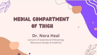 Part 2 medial compartment of thighSemester 2 [upl. by Maxma]