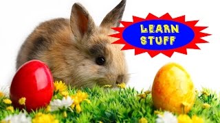 Learn Stuff Ep 2  Why Does Easter Always Change Dates [upl. by Yorgo]