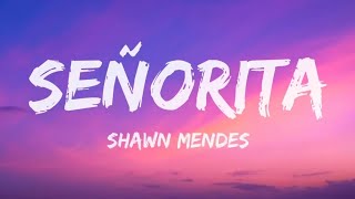 Shawn Mendes Camila Cabello  Señorita Lyrics [upl. by Lamoureux]