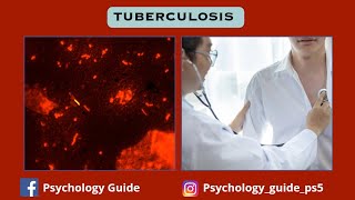 Tuberculosis [upl. by Ahsetra]