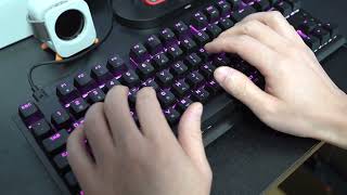 corsair k60 pro tkl opx 타건음 [upl. by Eagle95]