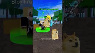 Doge is helped by admin roblox doge bloxfrutis [upl. by Sucy471]