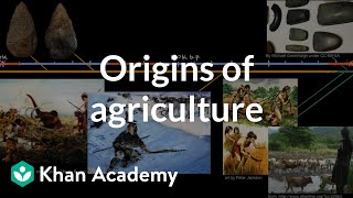 Origins of agriculture  World History  Khan Academy [upl. by Ydnirb]