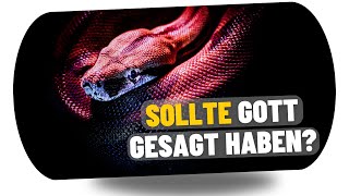 Sollte Gott gesagt haben [upl. by Rezeile]