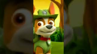 Tracker paw Patrol 💚🧭 [upl. by Aroz620]