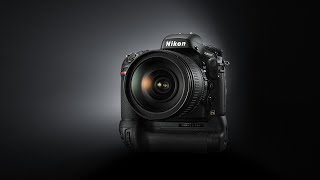 NIKON D800 strikes again in 2022 Backlit photos [upl. by Frankel789]