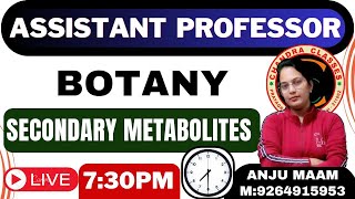 PLANT SECONDARY METABOLITES  BY ANJU MAM [upl. by Hakeem]