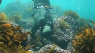 The Haenyeo female divers of Jejudo Island [upl. by Tuppeny]