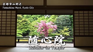 随心院の境内（京都市山科区）Zuishinin Temple Yamashina Ward Kyoto Japan [upl. by Achorn678]