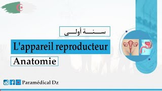 درس lappareil reproducteurالجهاز التكاثري لطلبة شبه الطبي بشرح رائع و ملخص بالعربية و الفرنسية [upl. by Bullen124]