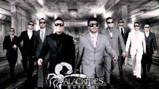 quotVida Sinaloensequot Alacranes Musical 2010 Estudio [upl. by Estel]