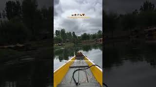 beautifull kashmir dallake youtubeshorts shortsonyoutube [upl. by Tildi]