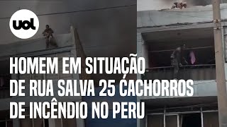 Homem em situação de rua salva 25 cachorros durante incêndio em Lima no Peru veja vídeo [upl. by Trilby485]