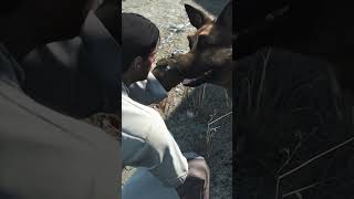 Dogmeat Fallout 4 Gameplay fallout4 dogmeat xboxseriesx gaming [upl. by Gupta]