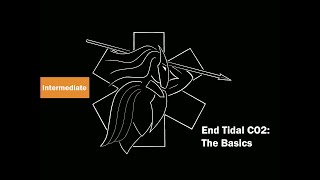 End Tidal CO2 The Basics [upl. by Aniale878]