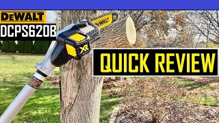 DEWALT POLE SAW REVIEW  DCPS620B DEWALT TOOLS TOOL REVIEW CHAIN SAW REVIEW CHAIN SAW POLE SAW [upl. by Efi996]