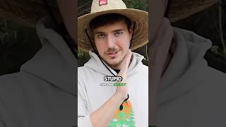 MrBeast’s INSANE Team Trees Project [upl. by Gnilyam]