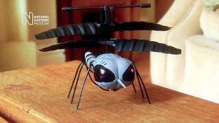 Remote Controlled Mosquito from The Natural History Museum HD [upl. by Annaira]