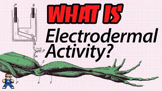 What Is Electrodermal Activity [upl. by Danby]