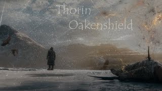 Thorin Oakenshield [upl. by Enayr]