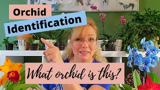 Orchid Identification The 5 Most Common Orchids for Beginners [upl. by Odiug]