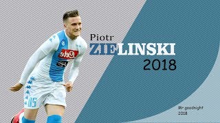 Piotr Zieliński Skills amp Goals  Napoli  20172018 [upl. by Ahsian379]