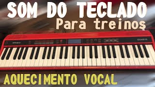 SOM DO TECLADO PARA TREINOS AQUECIMENTO VOCAL  AULA DE CANTO 1 [upl. by Enattirb807]