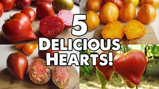 5 DELICIOUS HEARTSHAPED TOMATOES [upl. by Enrak]