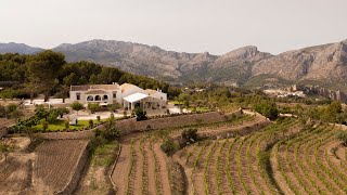 Masos una bodega única abre sus puertas en el Valle de Guadalest [upl. by Nasaj]