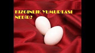 KIZGINLIK YUMURTASI NEDİR [upl. by Eibloc154]