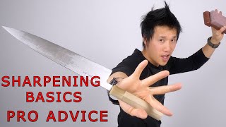 My Pro Knife Sharpening tips [upl. by Lladnor584]